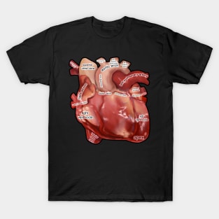 Anatomy of the  Human Heart T-Shirt